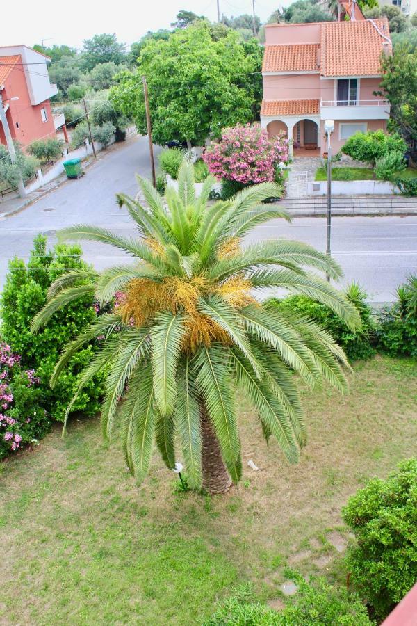 Anemos Apartment Palio PalaiónTsiflíkion Esterno foto